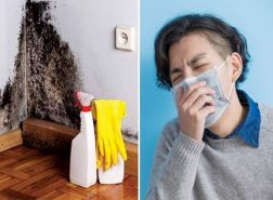Rêu mốc – mối nguy hiểm “vô hình” đối với sức khỏe của con người