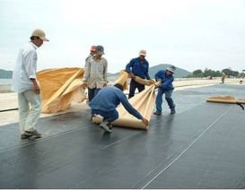 Đến ngay cơ sở chuyên chống thấm nhà ở Gò Vấp đáng tin cậy hiện nay