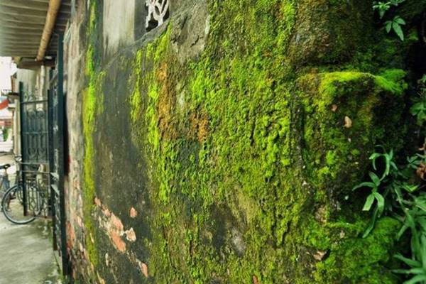 5 nỗi lo của gia chủ về nhà ở vào mùa mưa