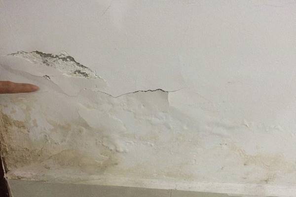 Tìm hiểu ngay nguyên nhân gây nên ẩm mốc tường nhà